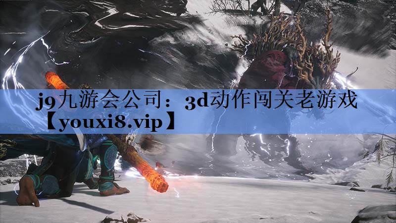 j9九游会公司：3d动作闯关老游戏