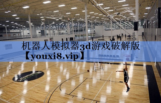 机器人模拟器3d游戏破解版